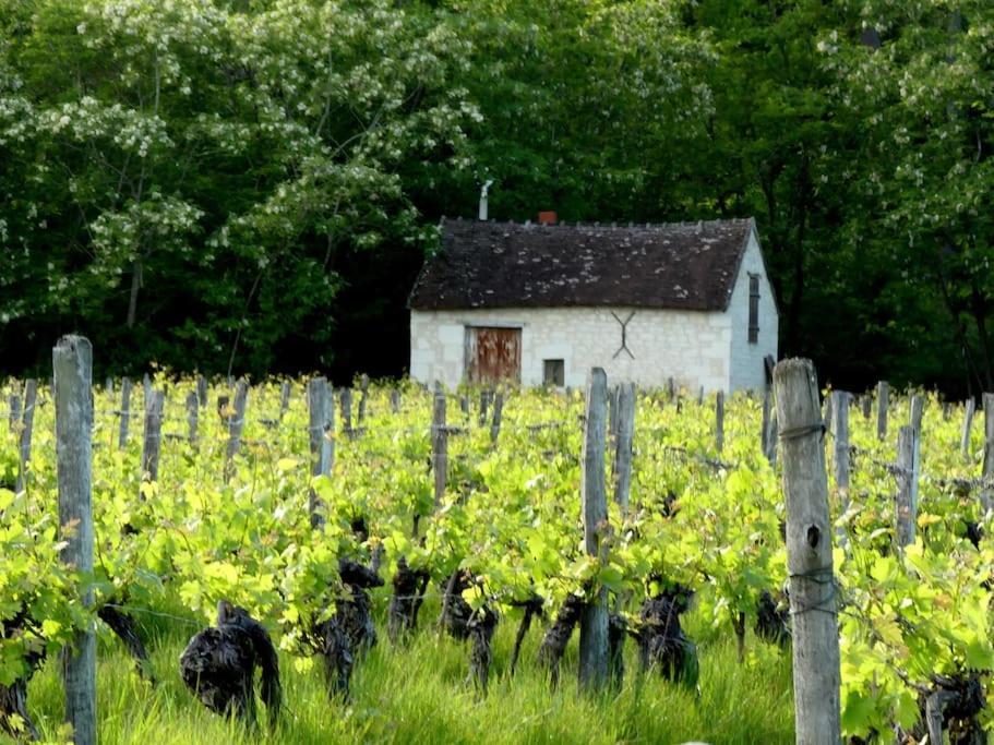 Maison De Bourg Paisible Parcay-sur-Vienne Esterno foto